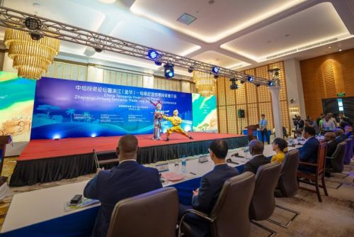 2023中非文化合作交流月 構(gòu)筑合作橋梁,共創(chuàng)美好未來(lái)