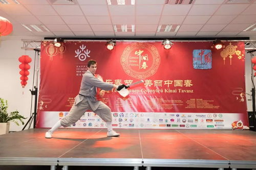 中國(guó)年文化在匈牙利綻放奇花, 歡樂(lè)春節(jié) 美麗中國(guó)春 活動(dòng)現(xiàn)場(chǎng)人潮涌動(dòng) 精彩視頻集錦 高清圖組